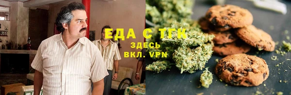 индика Пестово