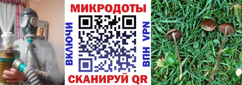 цены   Новый Уренгой  ОМГ ОМГ вход  площадка телеграм  Псилоцибиновые грибы Psilocybe 